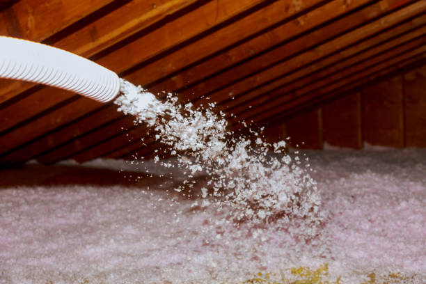 Best Spray Foam Insulation in Pleasant Valley, MO