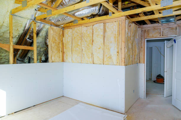 Best Cellulose Insulation in Pleasant Valley, MO