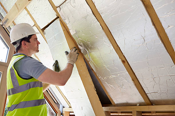 Best Specialized Insulation Services in Pleasant Valley, MO